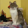 Отзыв от Элла Трошина